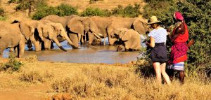 Walking Safari and Cultural Experiences (8 Days)