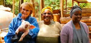 Light On The Horizon (1 Day)