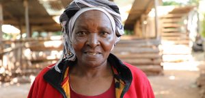 Beatrice’s Incredible Life (Evening)