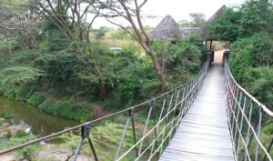 Ololo Safari Lodge, Culture & Wildlife (5 Days)