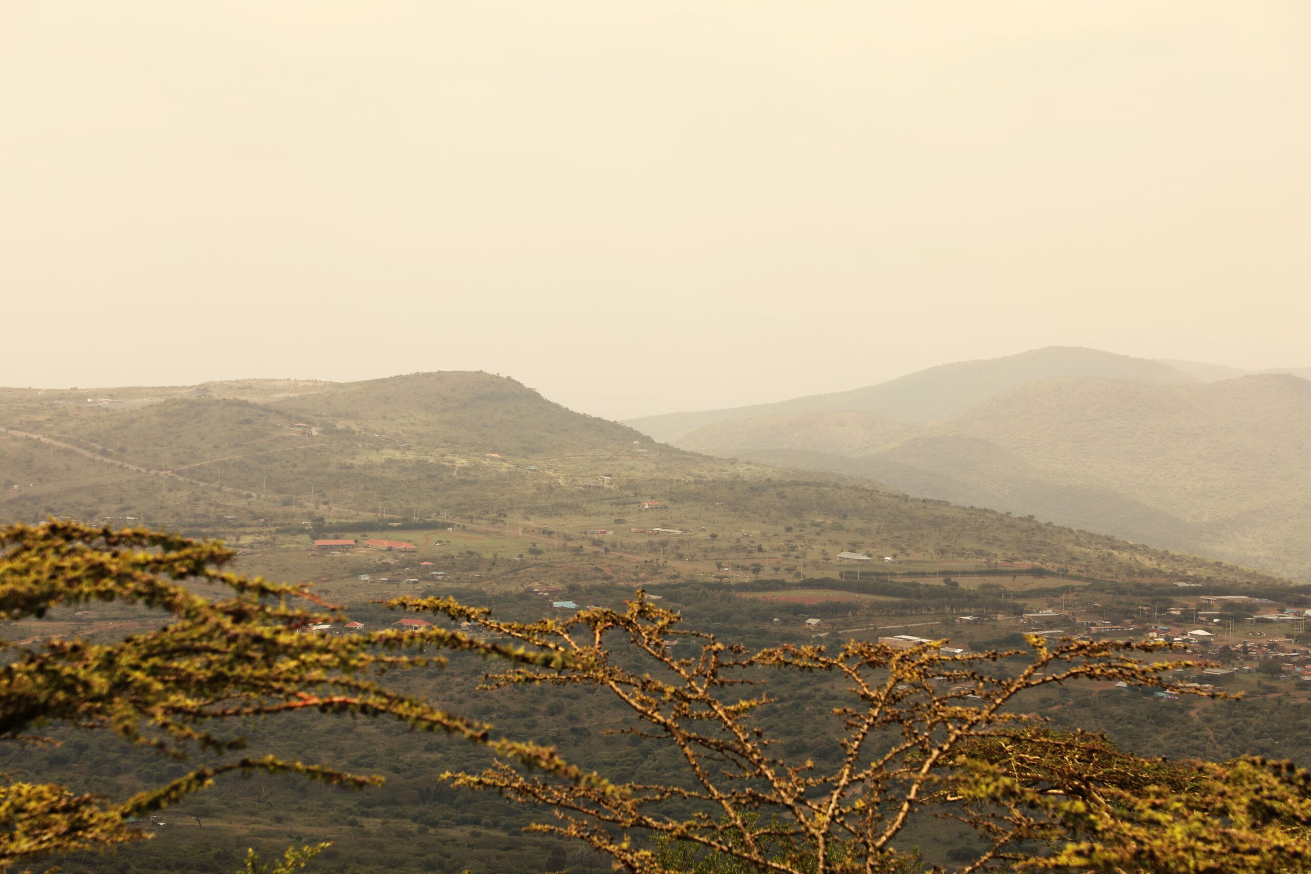 What’s the First Thing You Would Do?