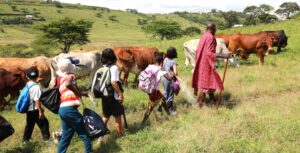 Educational – Maasai Life and Learning: Culture, Identity and Tradition (1 Day)