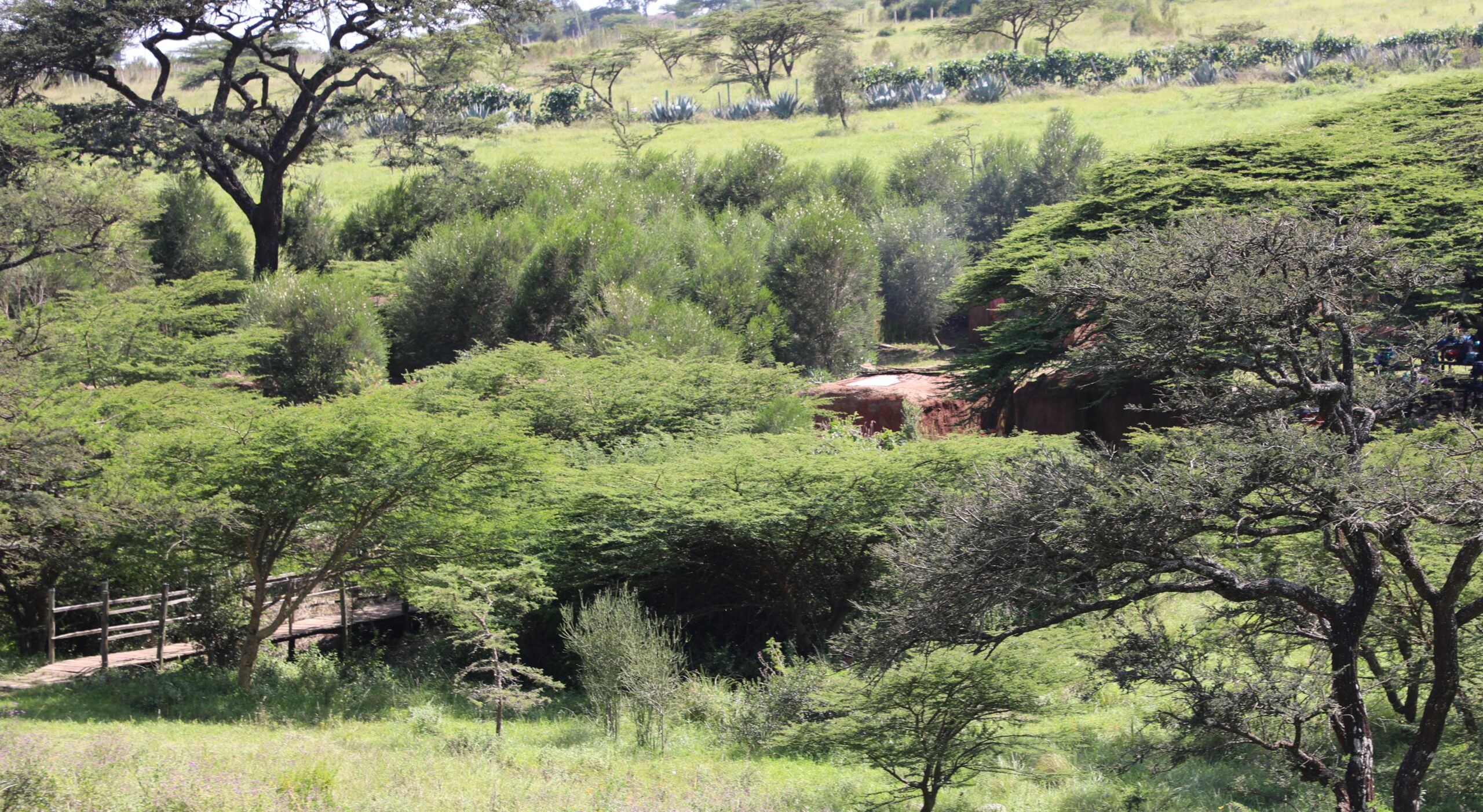 Getting Your Hands Dirty