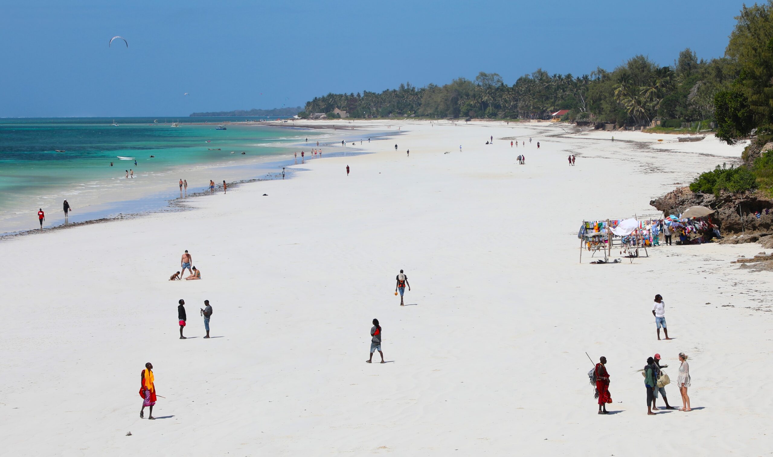 Something for Everyone!