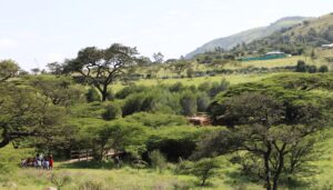 From Gray to Green (1 Day)