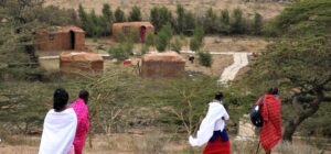 30 Wheel Chair Assisted Tours