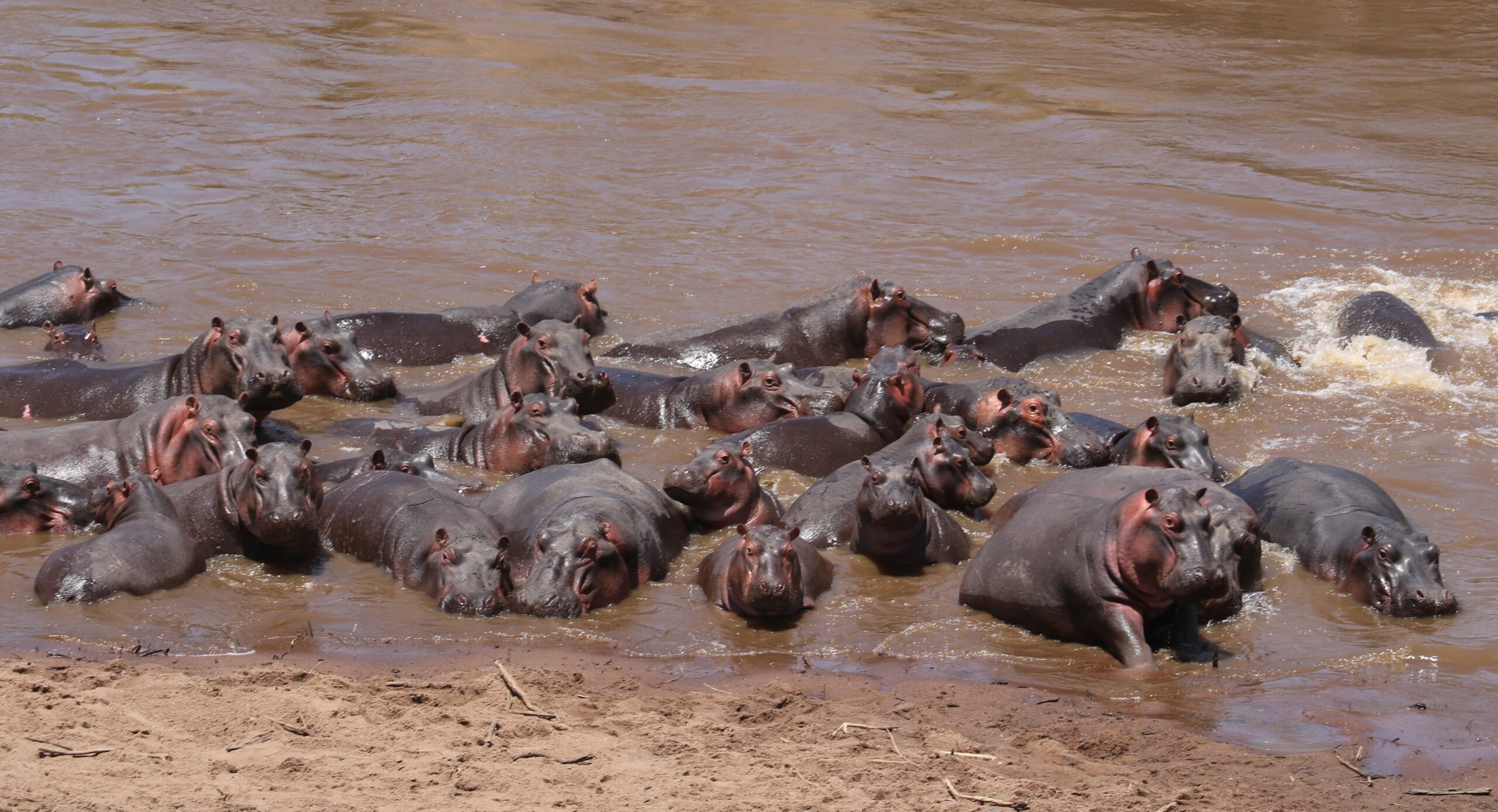 This Needs To Be On Your Bucket List!