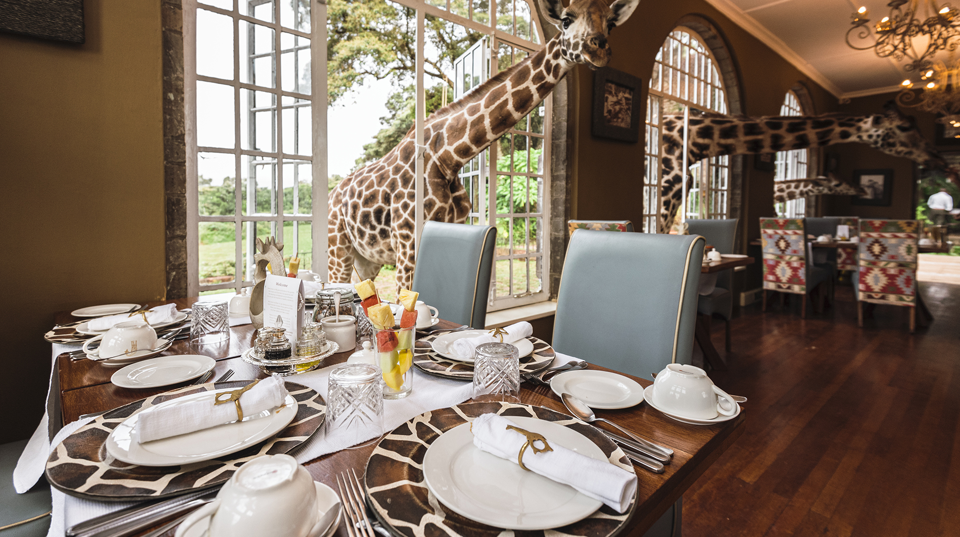 The Amazing Giraffe Manor