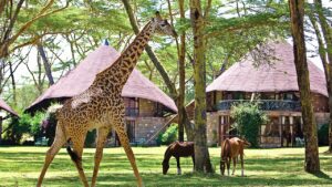 Helicopter, Maasai and Lake Escape (4 Days)